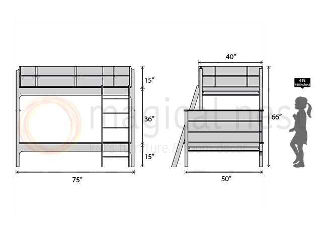 Size bunk shop beds